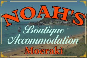 Noah's Accommodation
